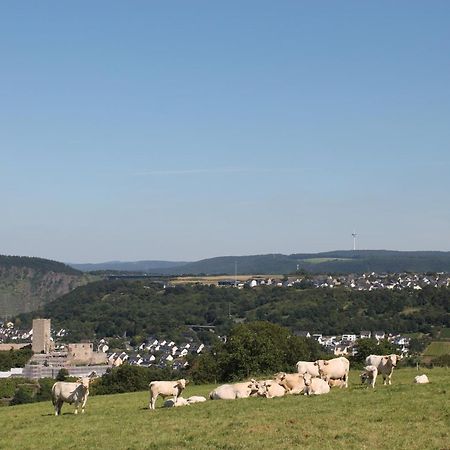 Ferienwohnung Auf Der Moselhoehe - Naehe Koblenz Und Cochem Dieblich Kültér fotó