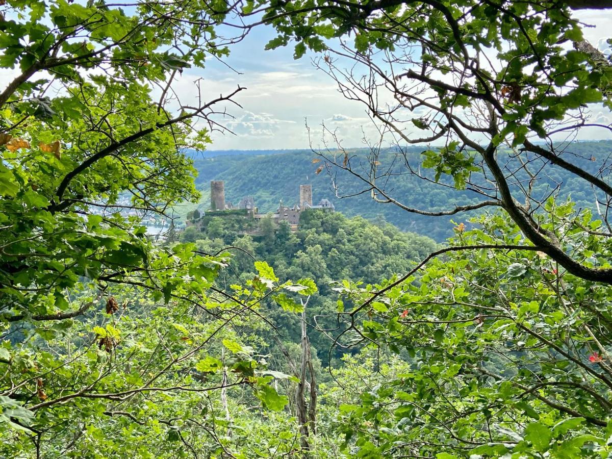 Ferienwohnung Auf Der Moselhoehe - Naehe Koblenz Und Cochem Dieblich Kültér fotó