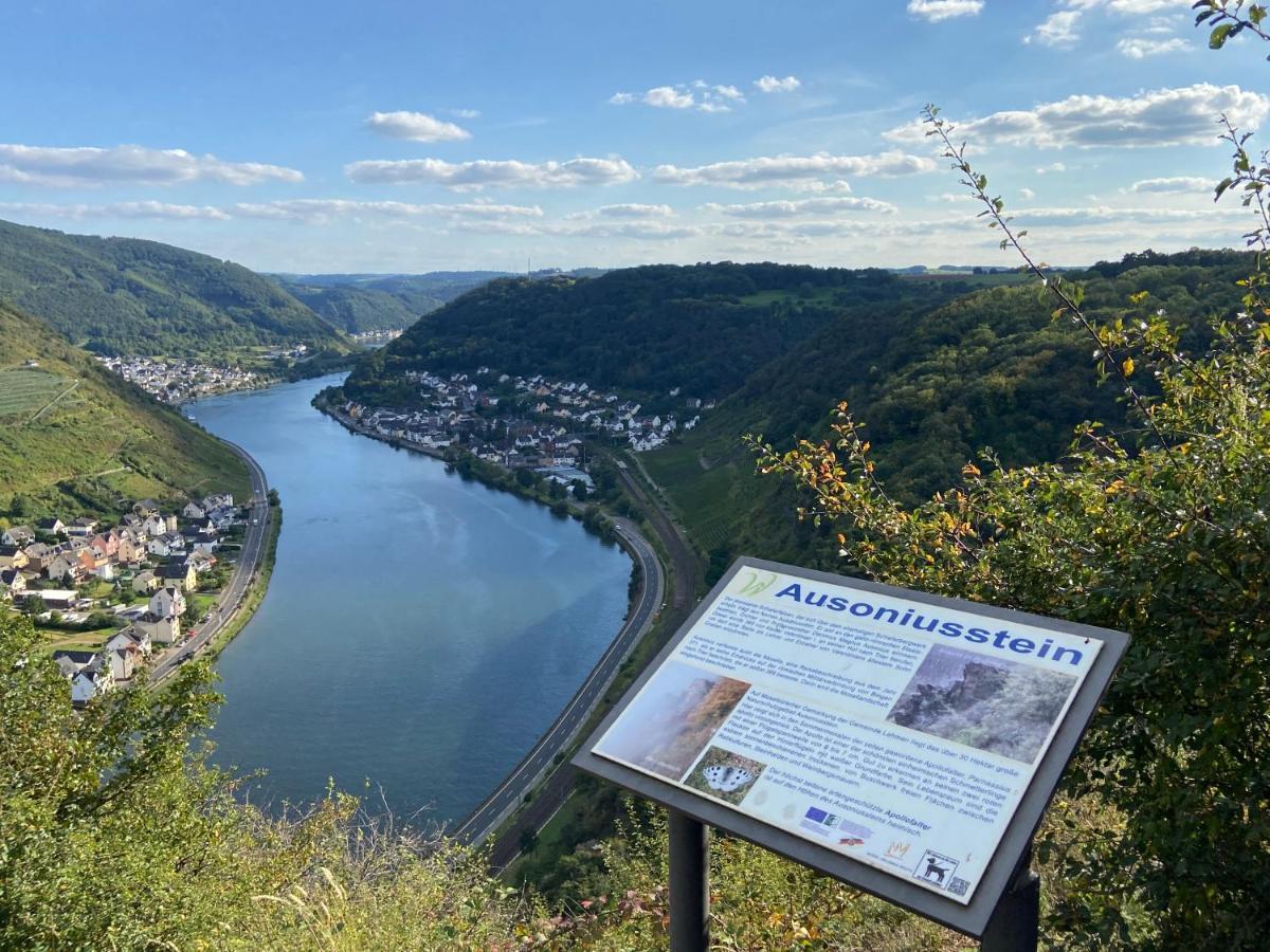 Ferienwohnung Auf Der Moselhoehe - Naehe Koblenz Und Cochem Dieblich Kültér fotó