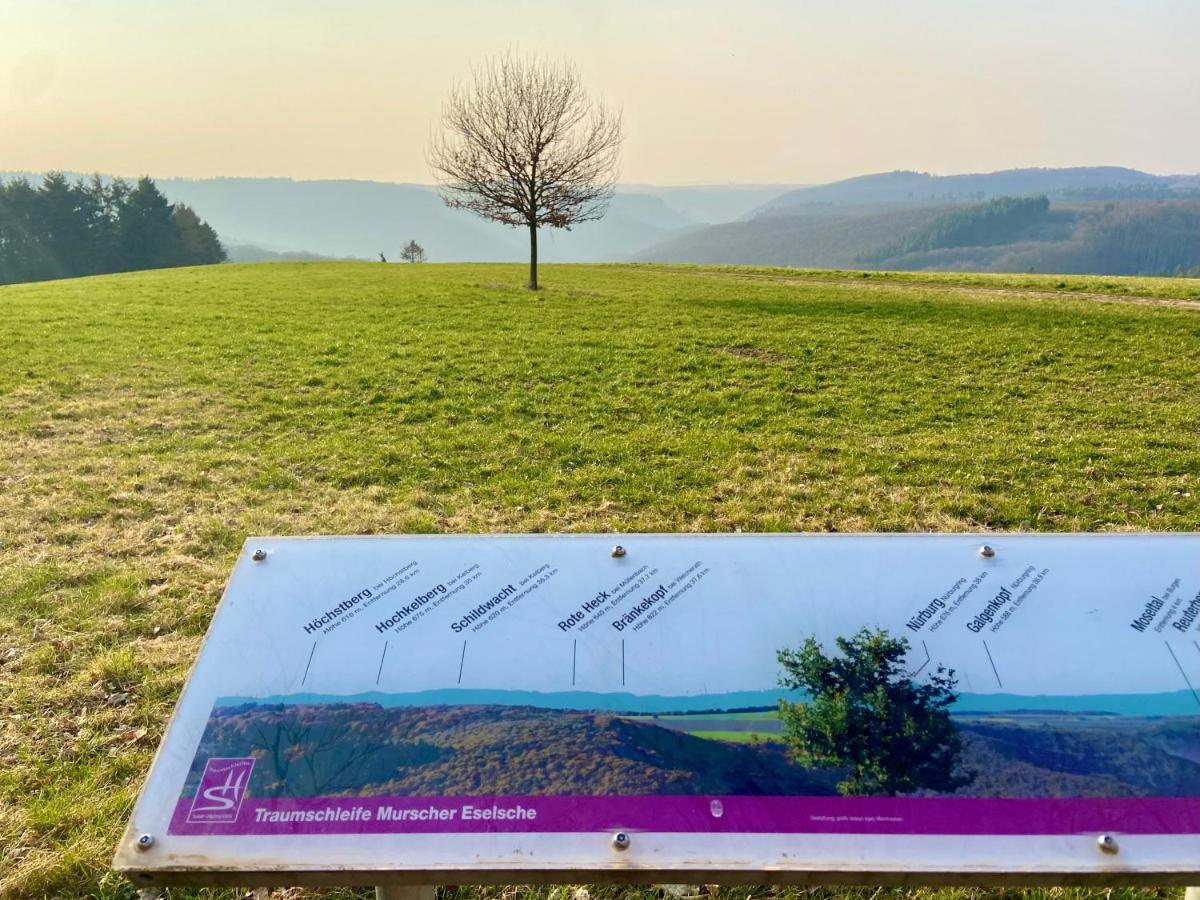 Ferienwohnung Auf Der Moselhoehe - Naehe Koblenz Und Cochem Dieblich Kültér fotó