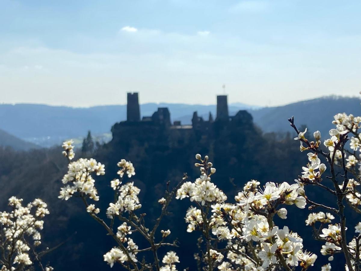Ferienwohnung Auf Der Moselhoehe - Naehe Koblenz Und Cochem Dieblich Kültér fotó
