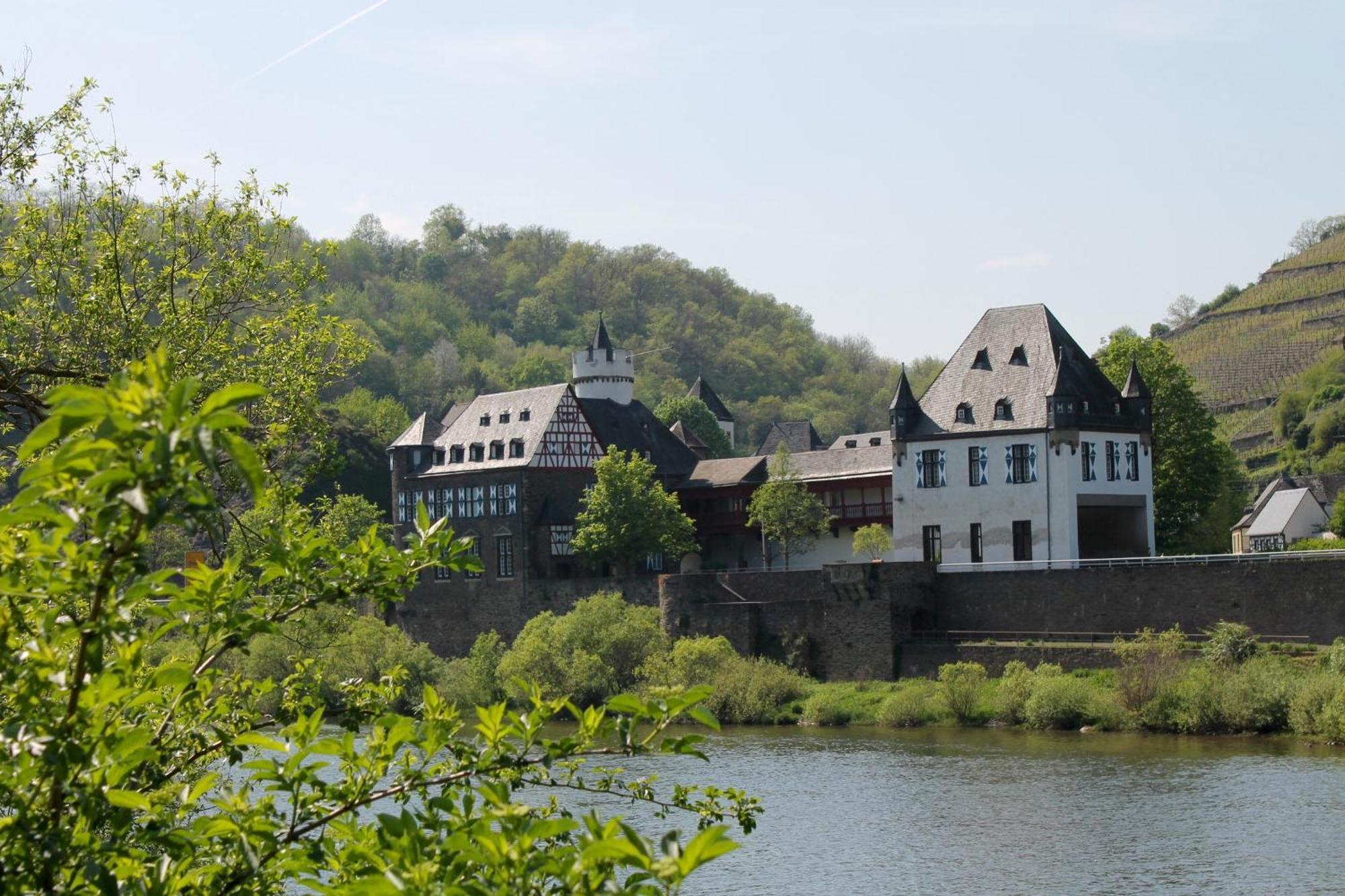 Ferienwohnung Auf Der Moselhoehe - Naehe Koblenz Und Cochem Dieblich Kültér fotó