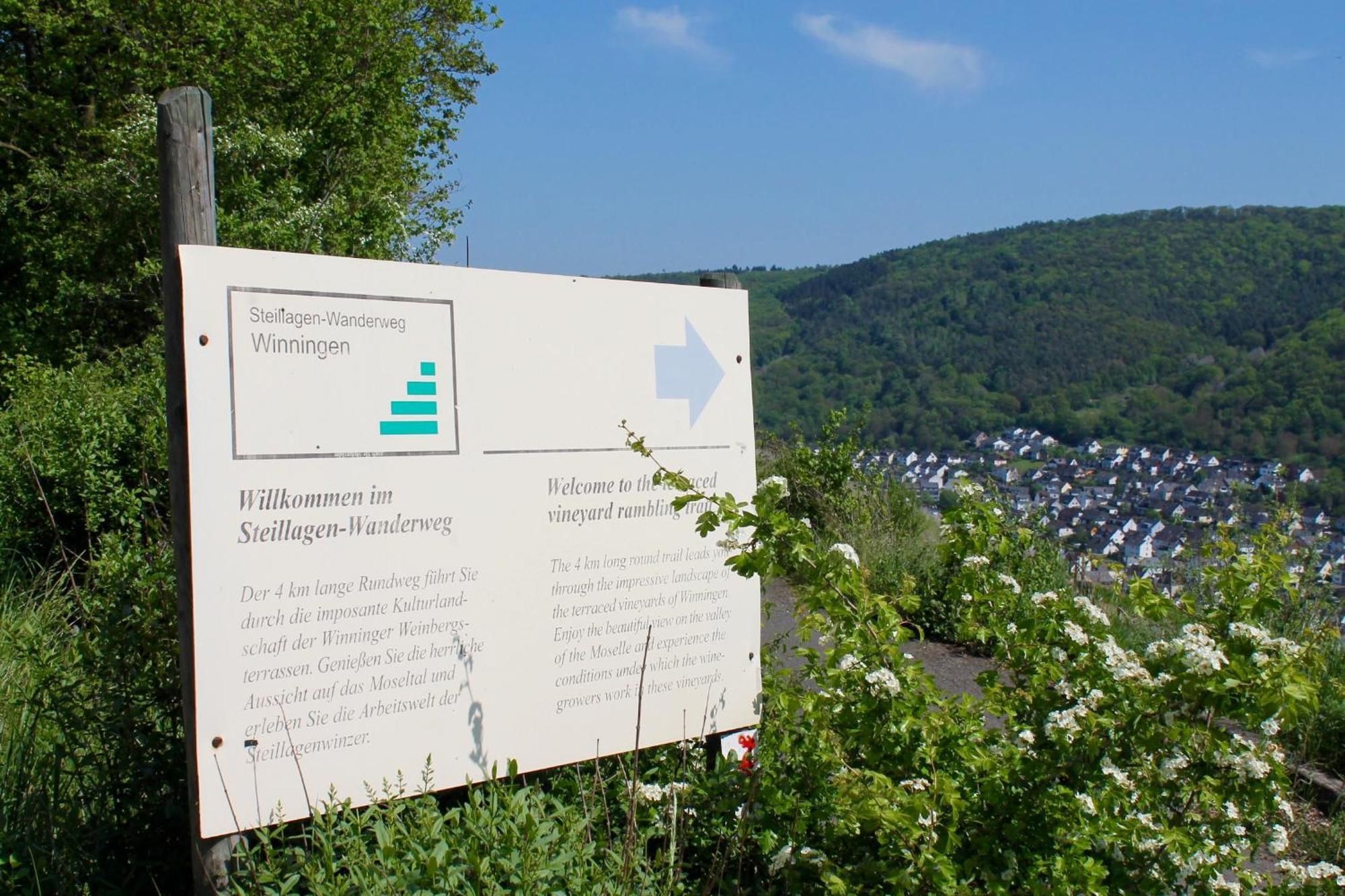 Ferienwohnung Auf Der Moselhoehe - Naehe Koblenz Und Cochem Dieblich Kültér fotó
