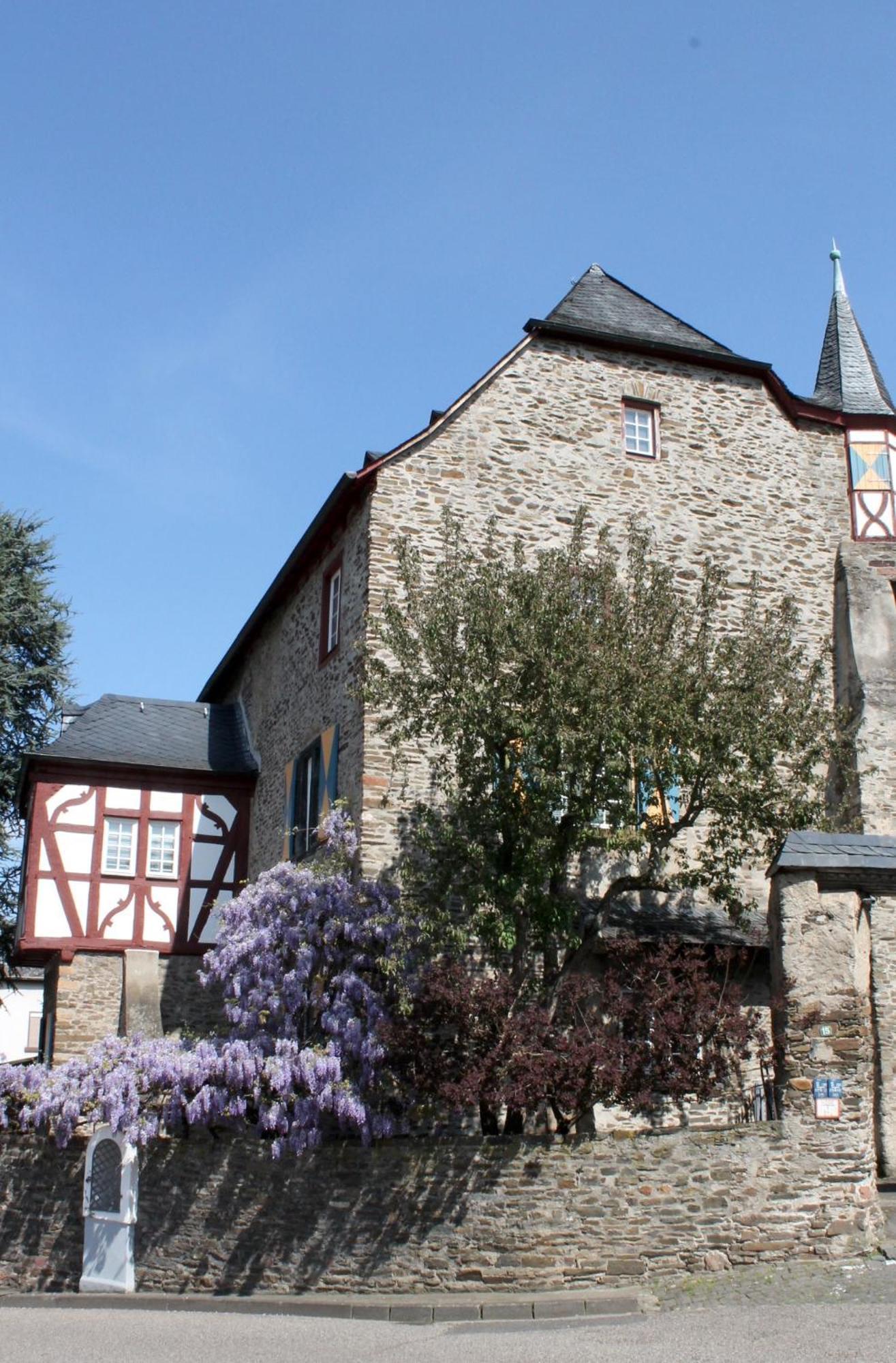 Ferienwohnung Auf Der Moselhoehe - Naehe Koblenz Und Cochem Dieblich Kültér fotó