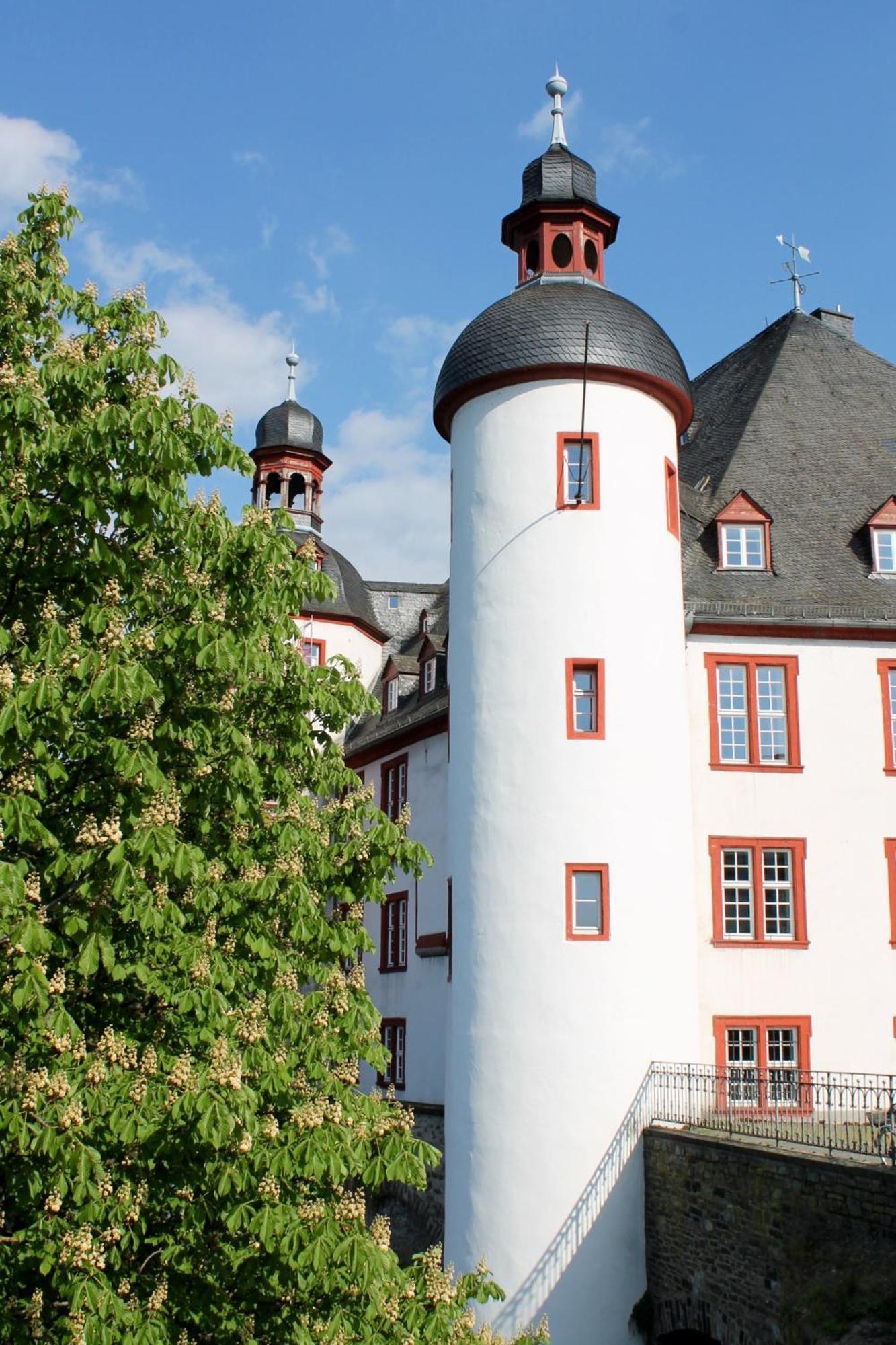 Ferienwohnung Auf Der Moselhoehe - Naehe Koblenz Und Cochem Dieblich Kültér fotó