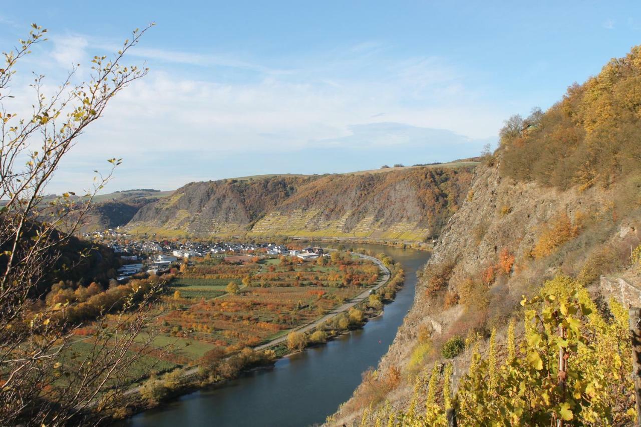 Ferienwohnung Auf Der Moselhoehe - Naehe Koblenz Und Cochem Dieblich Kültér fotó