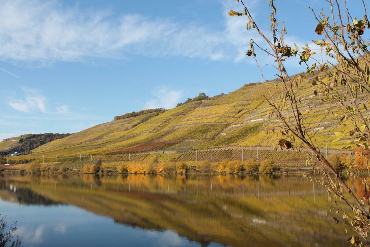 Ferienwohnung Auf Der Moselhoehe - Naehe Koblenz Und Cochem Dieblich Kültér fotó