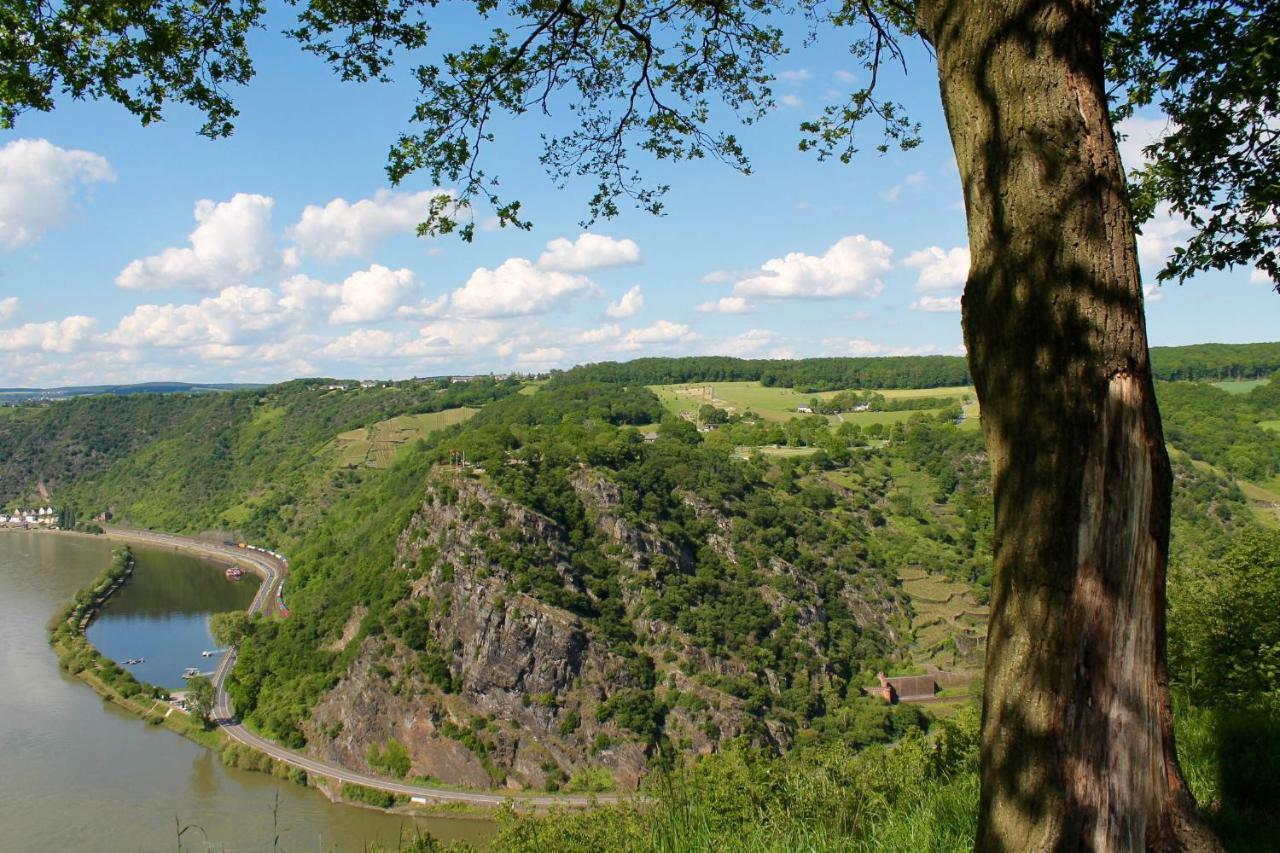 Ferienwohnung Auf Der Moselhoehe - Naehe Koblenz Und Cochem Dieblich Kültér fotó