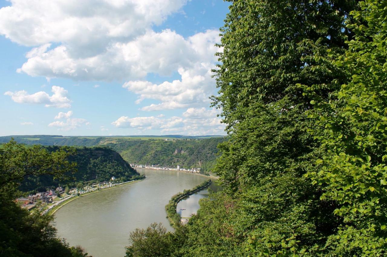 Ferienwohnung Auf Der Moselhoehe - Naehe Koblenz Und Cochem Dieblich Kültér fotó